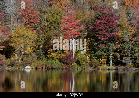 Autumn Color and Reflections on Echo Lake in Franconia Notch State Park Grafton County New Hampshire Stock Photo