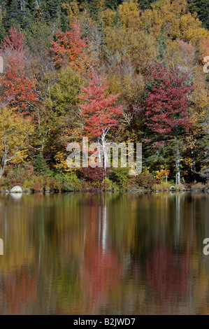 Autumn Color and Reflections on Echo Lake in Franconia Notch State Park Grafton County New Hampshire Stock Photo