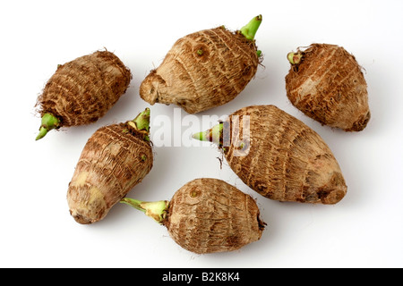 Kolokas, Or Colocasia, An Edible Root Vegetable Widely Used From Stock 