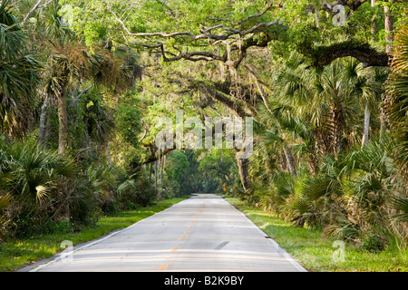 Ormond Scenic Loop and Trail, Ormond Beach, Florida Stock Photo