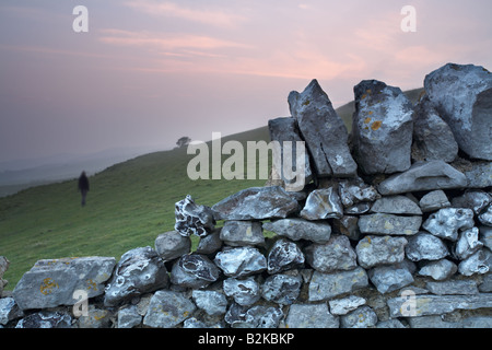 Person walking across a field beyond a dry stone wall at sunset, near Abbotsbury village, Dorset county, England, UK. Stock Photo