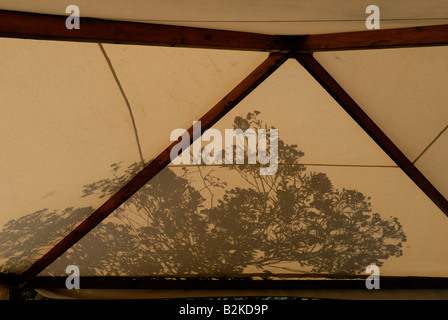 A warm sunshine casts a beautiful shadow of the tree on to the restaurants sun shade, Capri island, Campania, Italy, Europe. Stock Photo