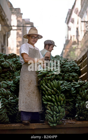 Two men unloading the back of a truck full of green bananas in Havana Cuba Stock Photo
