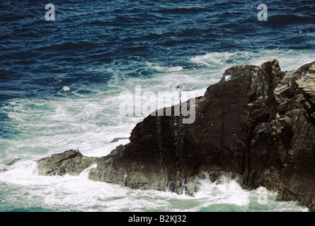 lizard peninsula cornwall 1987 Stock Photo