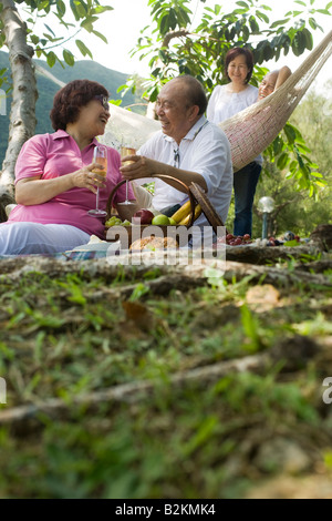 Senior man with a mature woman toasting with wine glasses at a picnic Stock Photo