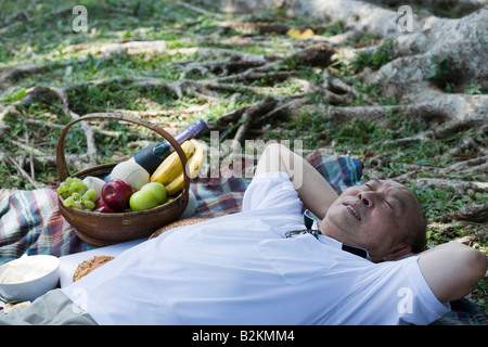 High angle view of a senior man lying on a picnic blanket with his eyes closed Stock Photo