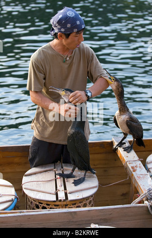 Ukai Cormorant fishing in Gifu, Japan Stock Photo - Alamy