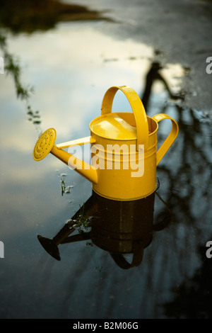 Yellow painted steel watering can in a puddle Stock Photo
