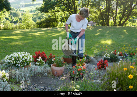 Gardening in the garden in summer - At home a woman gardening and watering flowers in her garden Stock Photo