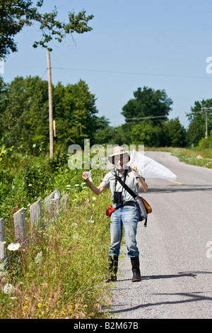 Butterfly catcher Stock Photo