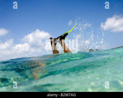 A man snorkeling in clear shallow Caribbean water All we see are the fins and his lower legs sticking up out of the water Stock Photo