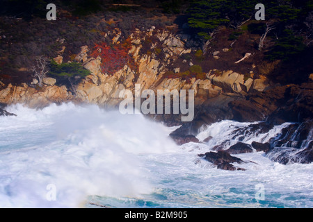 A winter storm brings high waves to Headland Cove at Point Lobos State Reserve near Monterey California Stock Photo