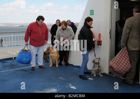 Brittany ferries clearance dog cabins