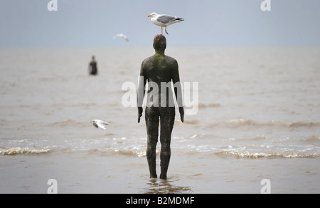 A SEAGULL SITS ON ONE OF THE IRON MEN STATUES ON CROSBY BEACH NEAR LIVERPOOL CREATED BY ARTIST ANTONY GORMLEY,UK,ENGLAND. Stock Photo