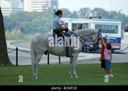 US Park Policewoman on Horse in Front of Lincoln Memorial Washington DC Stock Photo