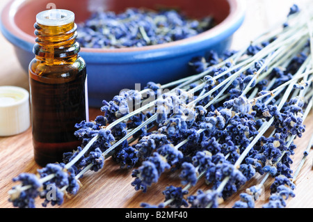 Dried lavender herb and essential aromatherapy oil Stock Photo