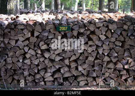 Firewood stacked for winter in the remote Northwoods of northern Wisconsin Stock Photo