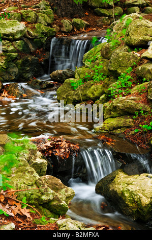 Creek with small waterfalls in japanese zen garden Stock Photo
