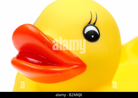 small yellow plastic duck isolated on a white background Stock Photo
