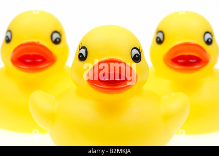 small yellow plastic ducks isolated on a white background Stock Photo