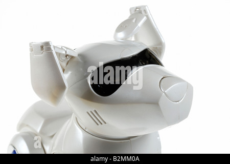 toy robot dog isolated on a white background Stock Photo