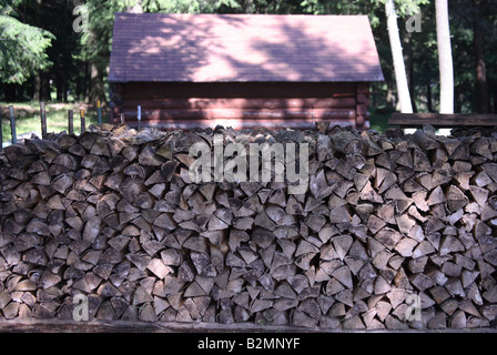 Firewood stacked for winter in the remote Northwoods of northern Wisconsin Stock Photo