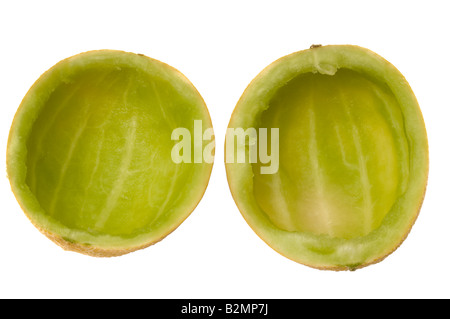 Halved Galia melon eaten and scooped out Stock Photo