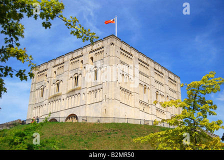 Norwich Castle, Norwich, Norfolk, England, United Kingdom Stock Photo