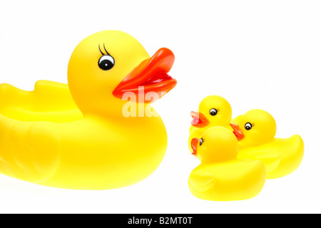 small yellow plastic ducks isolated on a white background Stock Photo