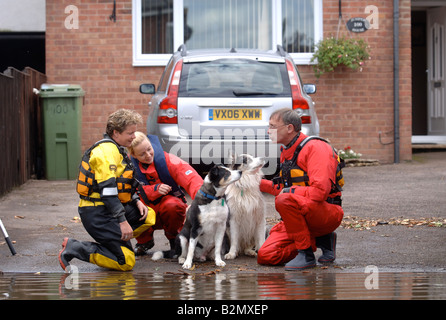 AN RSPCA FLOOD RESCUE TEAM CHECK ON THE WELFARE OF ANIMALS WHERE HOMES ...