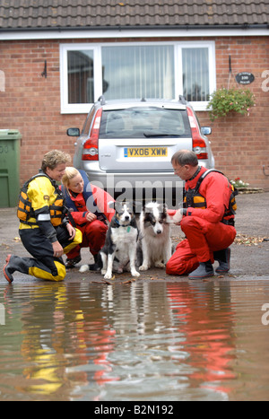 AN RSPCA FLOOD RESCUE TEAM CHECK ON THE WELFARE OF ANIMALS WHERE HOMES ...