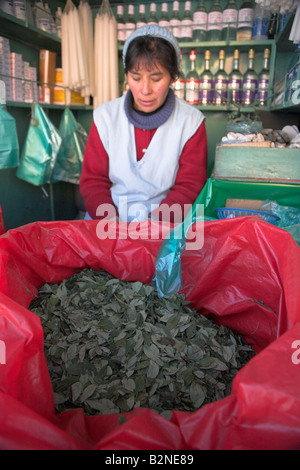 Coca leaves on sale in Mercado Calvario (Miners Market) in Potosi, Bolivia Stock Photo