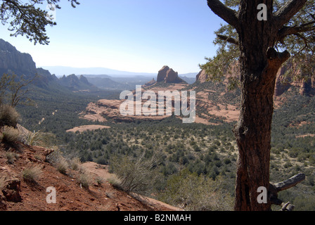 Red rocks surround Sedona Arizona Stock Photo