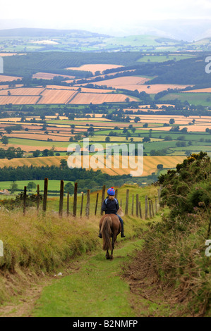 A horse rider on the Shropshire Way looking towards Corvedale on the slopes of Brown Clee Hill, Shropshire England UK Stock Photo