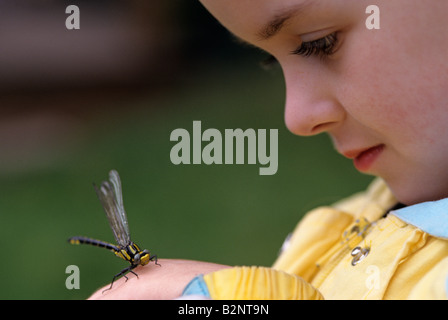 Young girl 11 years old with dragon fly on her hand Stock Photo