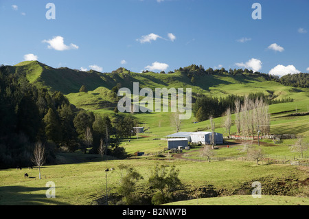 Farmland near Tarata Taranaki North Island New Zealand Stock Photo