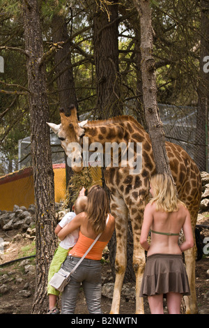 Costa Blanca Spain Aitana Safari park near Benidorm and Alicante giraffe with family tourists Stock Photo