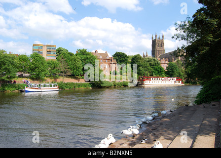 Worcester Cathedral across River Severn, Worcester, Worcestershire, England, United Kingdom Stock Photo