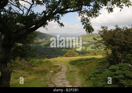 Cader Idris foothills looking down towards Tyddyn Mawr and Dolgellau from the Pony Path at Grid Ref 697147 Stock Photo