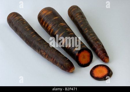 Carrot (Daucus carota sativus). Cultivated form with black and red roots, studio picture Stock Photo