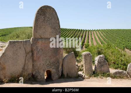 Historic remains next to a vineyard in Sardinia Stock Photo
