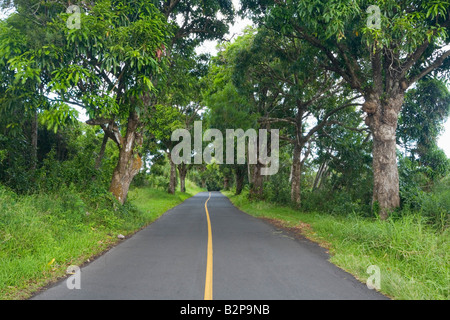 Pohoiki Road in the Puna District Big Island Hawaii USA Stock Photo