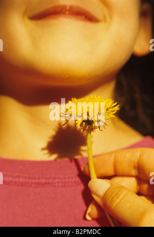 Young girl with dandelion put under her chin smiling summer game with mom 'likes butter' Bothell Washington State USA MR Stock Photo