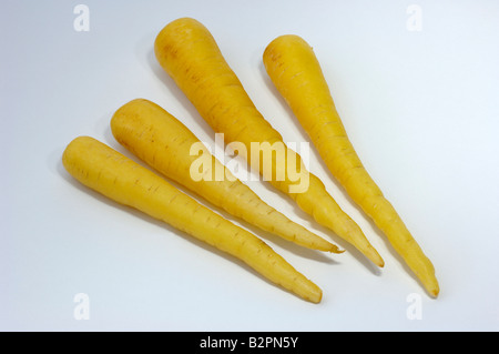 Carrot (Daucus carota sativus). Cultivated form with yellow roots, studio picture Stock Photo