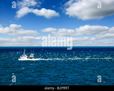 Small fishing boat trawler heading back to port with hundreds of gulls behind in his wake, Europe