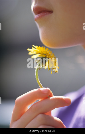 Young girl 6 years old with dandelion put under her chin summer game with mom Likes Butter Bothell Washington State USA Stock Photo