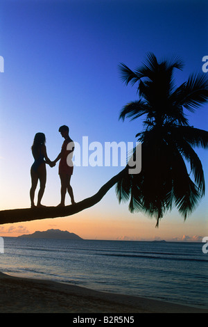 Couple standing on palm tree at sunset in Seychelles Stock Photo