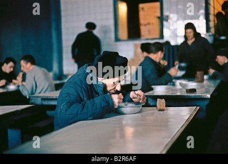 Dalstroy hi-res stock photography and images - Alamy Dalstroy hi-res stock photography and images - Alamy