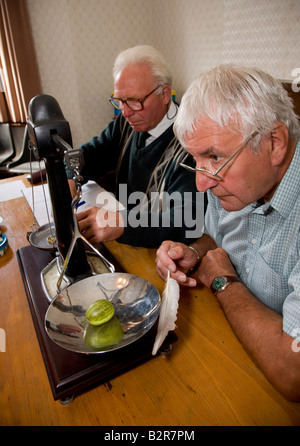 Judging and Weighing entries for the Egton Bridge Old Gooseberry Show North Yorkshire. The feather is to steady the scales Stock Photo