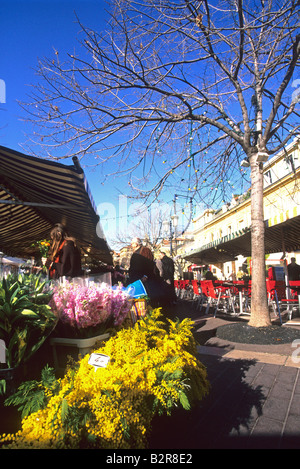 Nice Cours Saleya Alpes-Maritimes 06 cote d'azur french riviera France Paca Europe Stock Photo